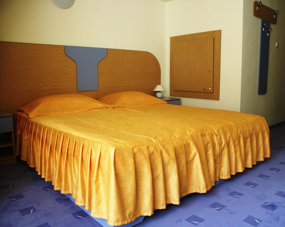 Hotel Tusnad バイレ・トゥシュナド 部屋 写真
